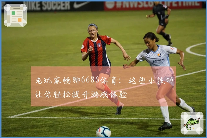 老玩家畅聊6686体育：这些小技巧让你轻松提升游戏体验