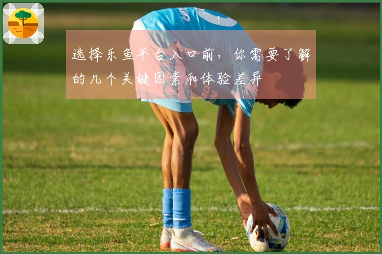 选择乐鱼平台入口前，你需要了解的几个关键因素和体验差异