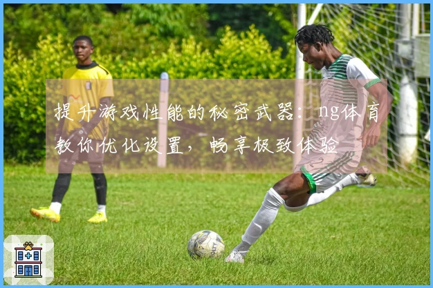 提升游戏性能的秘密武器：ng体育教你优化设置，畅享极致体验